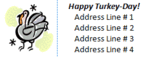 OL875 - 2.625" x 1" - Thanksgiving Turkey Address Label