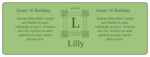 OL6200 - 7" x 2.5" - Green Sweet 16 Water Bottle Label