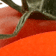 Food Labels - Organic Labels