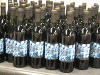 Homemade Wine Labels