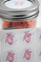 Anatomical Heart Stickers
