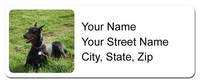 Personalized Address Labels