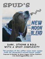 Basset Rescue Fundraiser