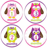 Monthly Onesie Stickers