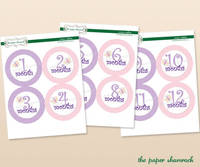 Baby Onesie Labels