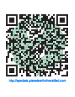 QR Code Labels by Pesto