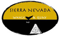 label for homemade beer