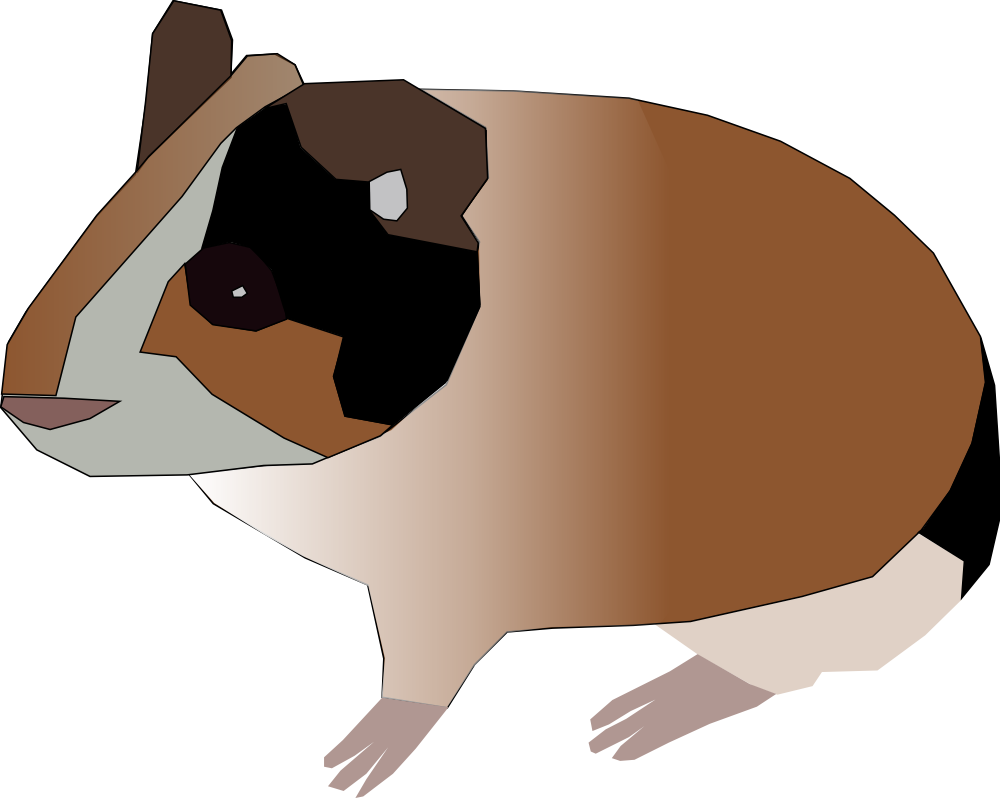 free clip art guinea pig - photo #14