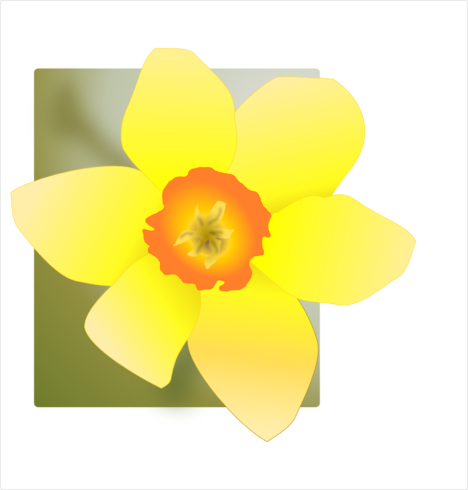 OnlineLabels Clip Art Daffodil