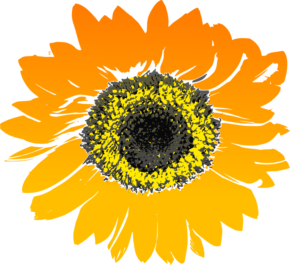 sunflower clipart images - photo #47
