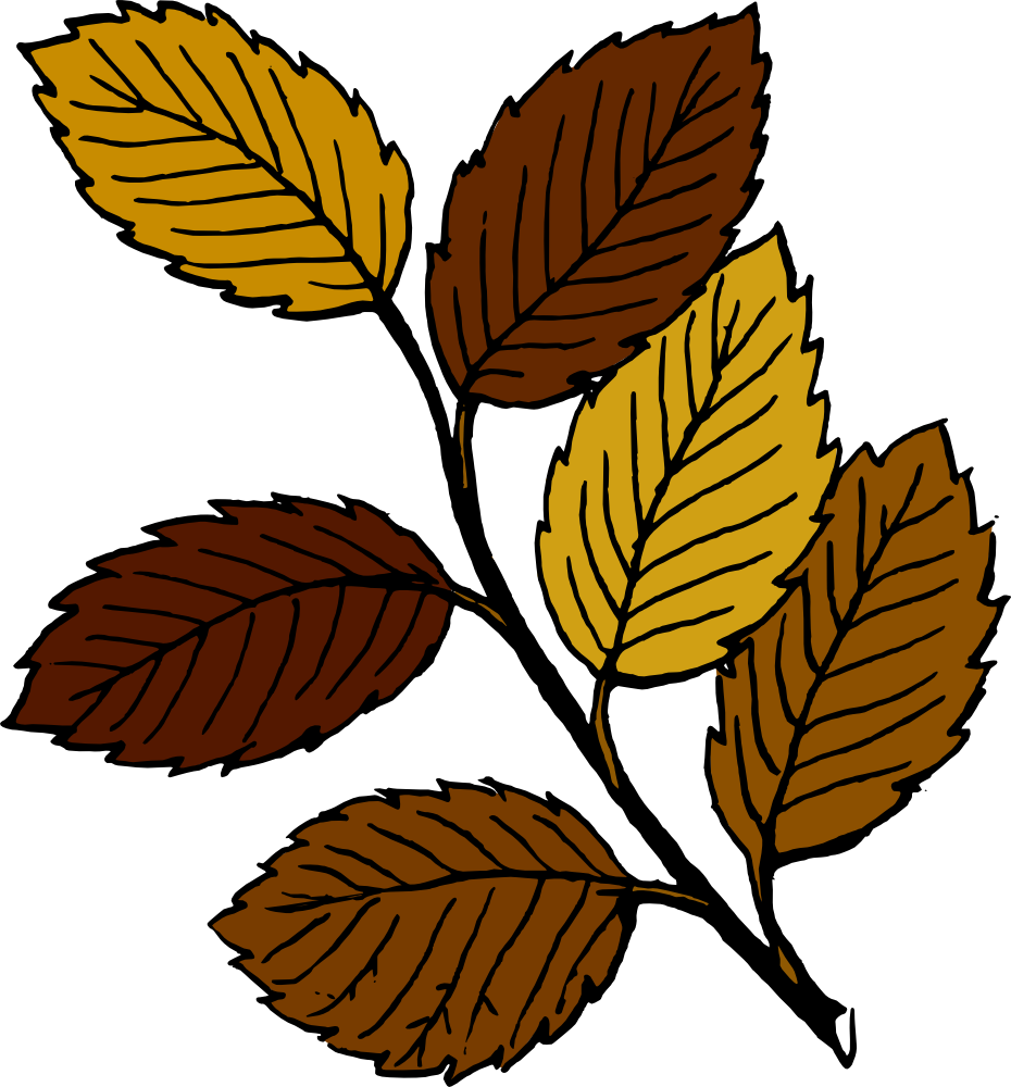 OnlineLabels Clip Art - Autumn Leaves On Branch