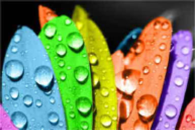 Image optimized for Maestro Label Designer