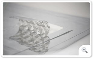Void Silver Polyester Labels (VS)