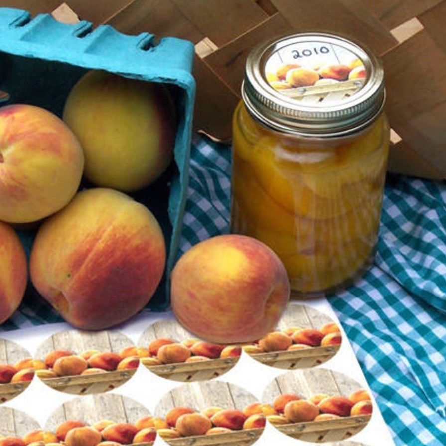Canning Crafts Peach Jar Label Customer Creations Online Labels(04)