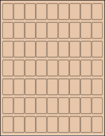 Sheet of 0.85" x 1.3" Light Tan labels