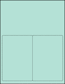 Sheet of 4" x 6" Pastel Green labels