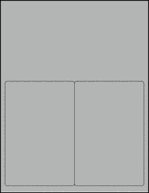 Sheet of 4" x 6" True Gray labels