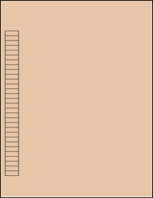 Sheet of 0.75" x 0.27" Light Tan labels