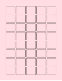 Product thumbnail for ol1354px