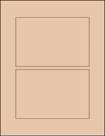 Sheet of 6" x 4" Light Tan labels