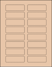 Sheet of 3.1" x 1" Light Tan labels