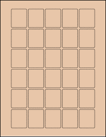 Product thumbnail for ol1669tc