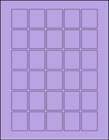 Product thumbnail for ol1669tp