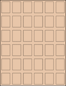 Sheet of 1.0981" x 1.45" Light Tan labels