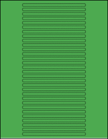 Sheet of 5" x 0.21875" True Green labels