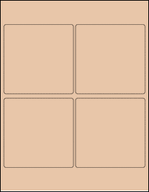 Product thumbnail for ol1951tc