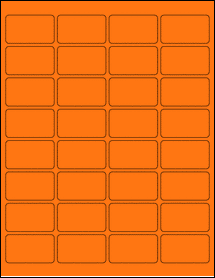 Product thumbnail for ol1989fo