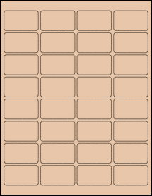 Product thumbnail for ol1989tc