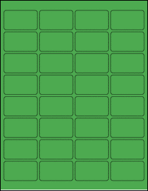 Product thumbnail for ol1989tg