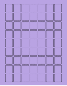 Product thumbnail for ol2304tp