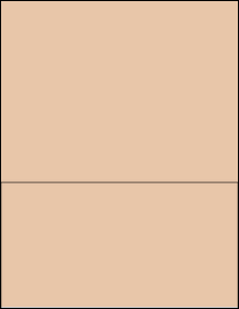 Sheet of 8.5" x 4.5" Light Tan labels