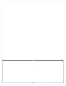 Sheet of 4" x 2.875"  labels