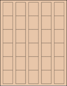 Sheet of 1.25" x 1.75" Light Tan labels