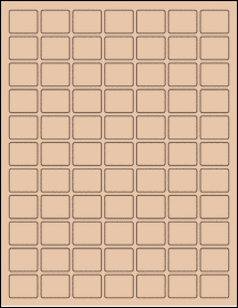 Product thumbnail for ol3136tc