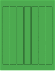 Product thumbnail for ol3432tg