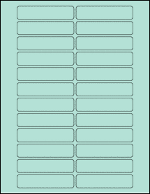 Sheet of 3.25" x 0.75" Pastel Green labels