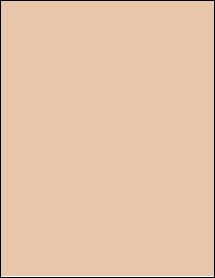 Sheet of 8.5" x 11" Light Tan labels