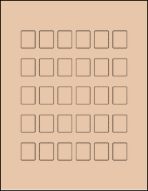 Sheet of 0.8125" x 1" Light Tan labels