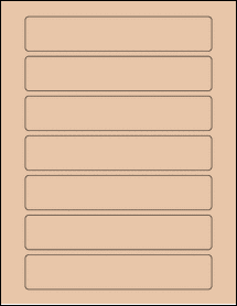 Sheet of 6.75" x 1.25" Light Tan labels