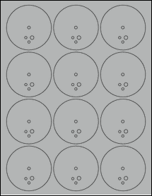 Sheet of 2.53" Circle True Gray labels