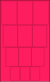 Sheet of 2.6722" x 4" Fluorescent Pink labels