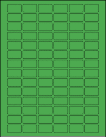 Product thumbnail for ol5505tg