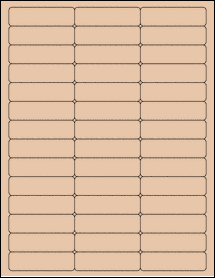 Sheet of 2.625" x 0.75" Light Tan labels