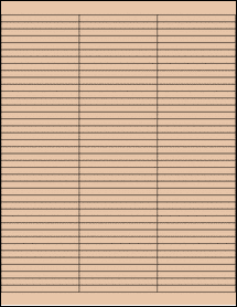 Sheet of 2.8" x 0.25" Light Tan labels