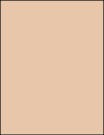 Sheet of 8.5" x 11" Light Tan labels