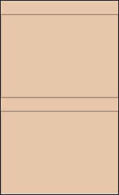 Sheet of 8.5" x 6" Light Tan labels